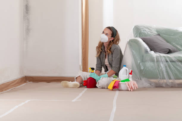 Reliable Mold Remediation contractor in Salmon Creek, WA by 24 Hour Mold Removal